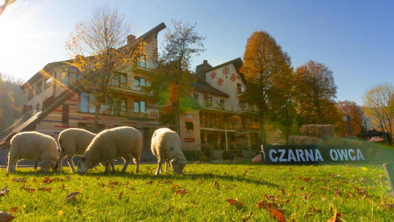 Hotel Piwniczna SPA&Conference Esterno foto